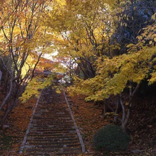 [Autumn Foliage] Keigyu-ji