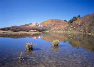 [Autumn Leaves - Best Viewing] Donden Mountain