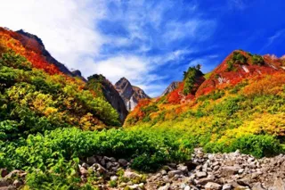 [Autumn Foliage, Best Time] Akkayama