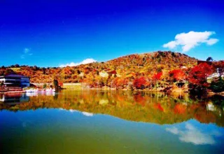 【紅葉・見ごろ】茶臼山高原