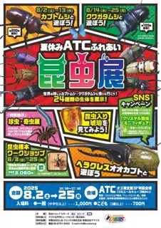 夏休み ATCふれあい昆虫展
