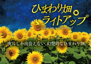 ひまわり畑ライトアップ＜中止となりました＞