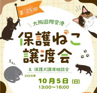 第26回 大阪国際空港 保護ねこ譲渡会