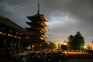 能楽の聖地・興福寺で体感する、年に一度の祈りの能。文化財建築で専門家と学ぶ、少人数限定の特別な夜。