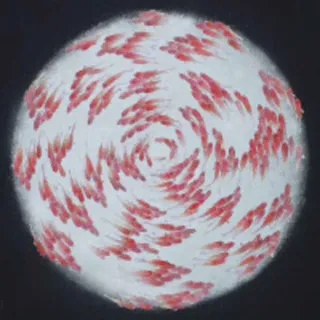 Masaki Oya Japanese Painting Exhibition