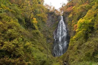 【紅葉・見ごろ】くろくまの滝