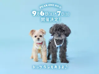 Pet Photoshoot Dog Run (September), 1 minute walk from Kita-Sando Station
