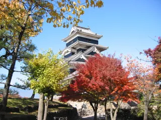 [Autumn Foliage - Peak Viewing] Matsumoto Castle