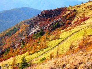 [Autumn Foliage - Peak Viewing] Utsukushigahara Plateau