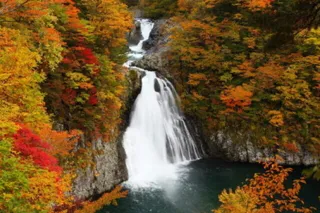 [Autumn Foliage - Peak Viewing] Hōtai Waterfall