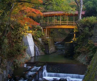 [Autumn Leaves - Peak Viewing] Shin'etsu Koyoyu Onsen