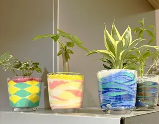 ハイドロカルチャー植え込みワークショップ