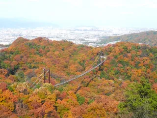 【紅葉・見ごろ】大阪府民の森　ほしだ園地