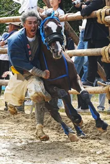 Takahama Omant Festival