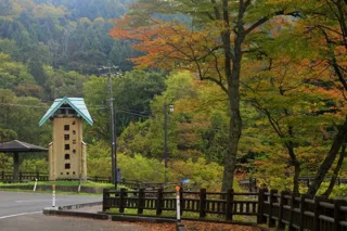 【紅葉・見ごろ】薬研・奥薬研温泉