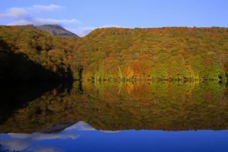 【紅葉・見ごろ】蔦七沼
