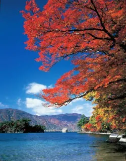 [Autumn Leaves - Best Viewing] Towada Lake
