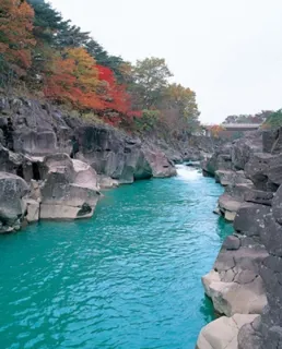 [Autumn Leaves - Best Viewing] Genbikei