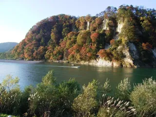 【紅葉・見ごろ】八向楯
