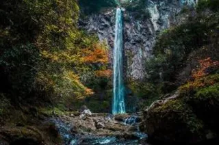 【紅葉・見ごろ】東椎屋の滝