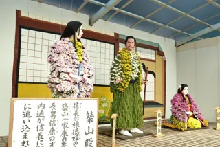 第84回鴨島大菊人形・第93回四国菊花品評会