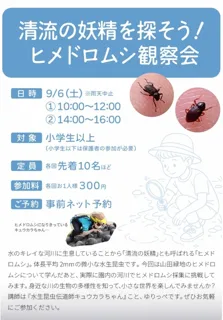 清流の妖精を探そう！ヒメドロムシ観察会