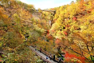 【紅葉・見ごろ】鳴子峡