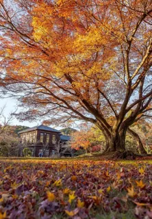 明治村写真コンテスト入賞作品展