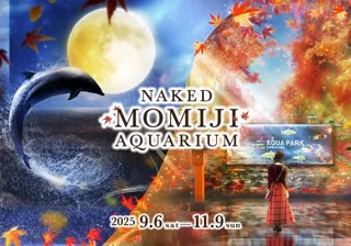 NAKED MOMIJI AQUARIUM