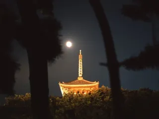 三溪園　観月会