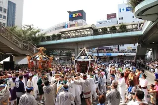 第50回藤沢市民まつり