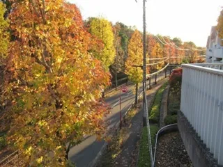 【紅葉・見ごろ】馬引沢北通り