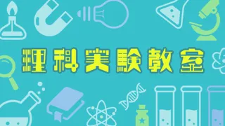 理科実験教室「イワシの解剖」