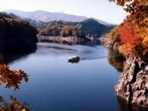 【紅葉・見ごろ】太平湖