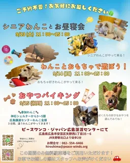 保護犬に会いに行こう！