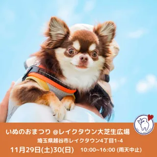 いぬのおまつり