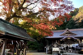 【紅葉・見ごろ】温泉神社