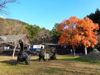 【紅葉・見ごろ】せせらぎ・豊鹿里パーク