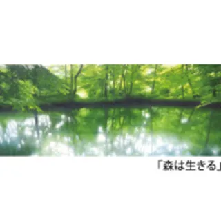 藤井誠 油彩画展 －空が青いことが嬉しくて－