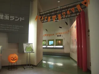 ハロウィンクイズラリー