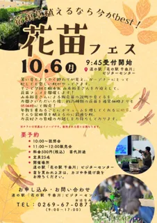 花苗フェス