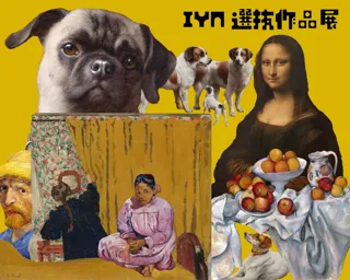 IYN選抜作品 展