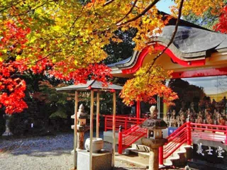 【紅葉・見ごろ】鳳源寺