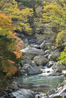 【紅葉・見ごろ】岩屋川渓谷