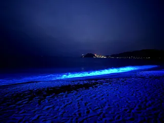 光の波プロジェクトin水晶浜