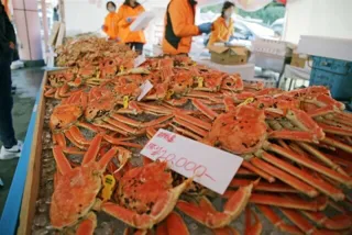 越前かにまつり・越前がに朝市2025