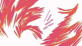 舞台芸術祭 「秋の隕石2025東京」