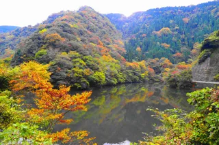 【紅葉・見ごろ】長見ダム
