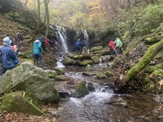 畑ケ平林道（県道）滝ハイキング