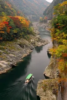【紅葉・見ごろ】大歩危峡・小歩危峡